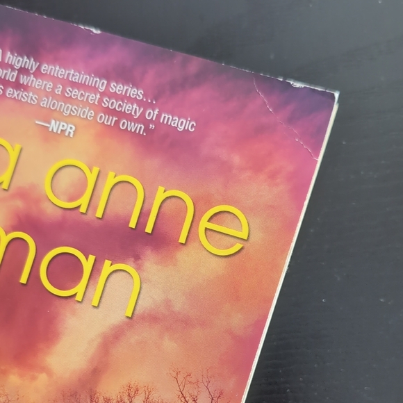 Paranormal Scene Investigations Series 1-4 Hard Magic by Laura Anne Gilman books - Picture 14 of 15